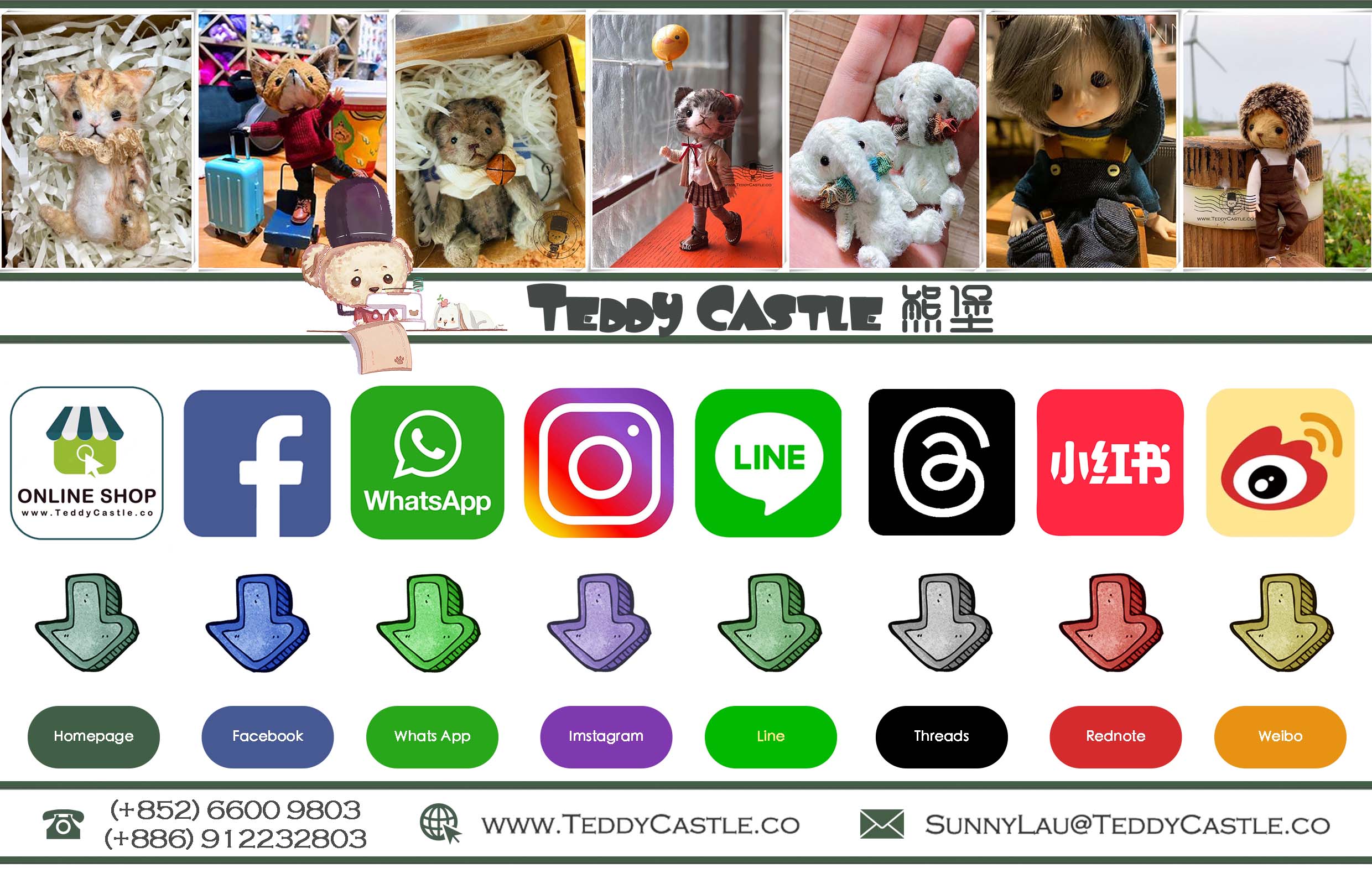 Teddy Castle 聯絡方式